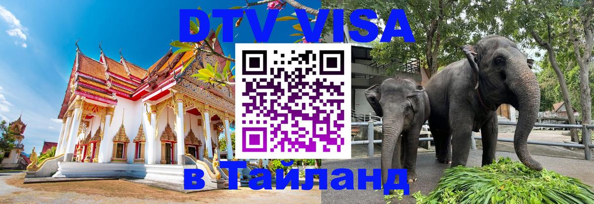 Сколько стоит DTV виза — актуальные цены, оформление даже без документов - 05.10.2025 